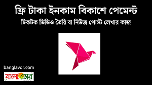 ফ্রি টাকা ইনকাম বিকাশে পেমেন্ট online bkash payment