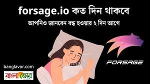 forsage.io কত দিন থাকবে
