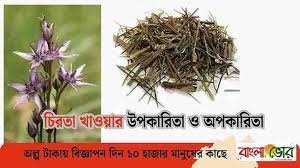 চিরতার উপকারিতা
